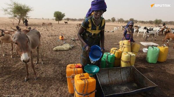 Au Niger, l’accès à l’eau et à l’assainissement amélioré grâce aux 165,5 M USD investis par la BAD - Sputnik Afrique