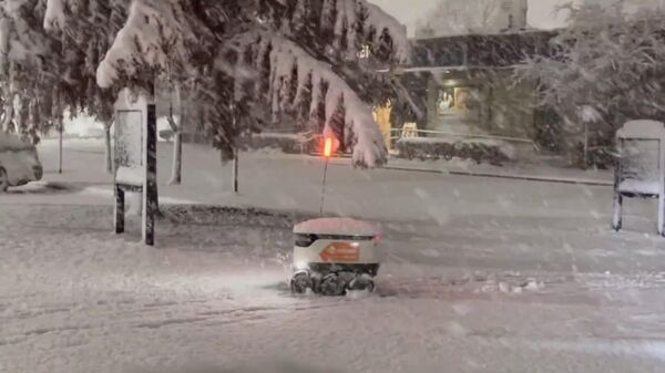 #viral | Let It Snow: Snowfall Surprises Delivery Robot - Sputnik Africa