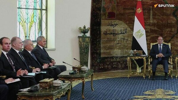 Gaza, El-Dabaa, and Russian Industrial Zone in Suez: El-Sisi and Shoigu Meeting Highlights - Sputnik Africa
