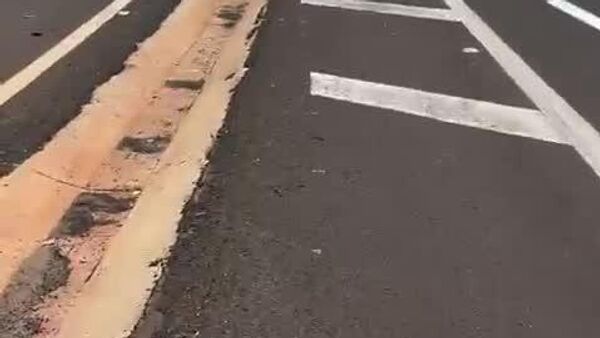 L'anaconda auto-stoppeur: un sauvetage géant sur l'autoroute brésilienne - Sputnik Afrique