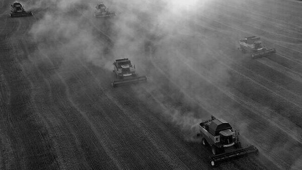 Repérer les différentes sortes de richesses du sous-sol africain pour se les approprier - Sputnik Afrique