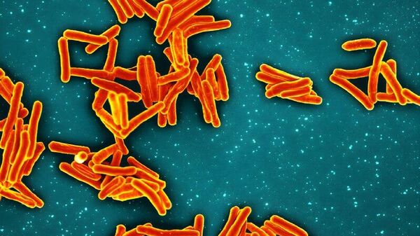 Ethiopian Scientists Develop 88 - Sputnik Africa