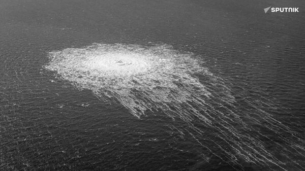 Explosion de Nord Stream I et II : Les peuples doivent savoir la vérité exacte sur cette affaire - Sputnik Afrique