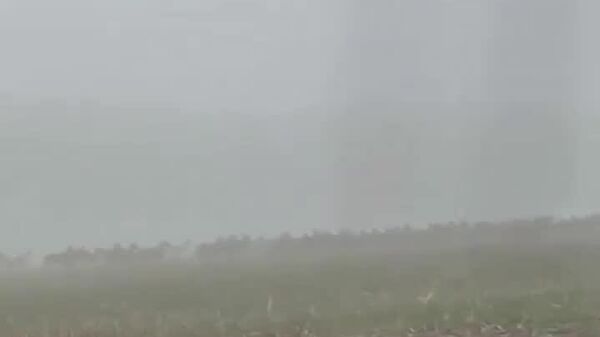 Des automobilistes allemands au point mort - Sputnik Afrique