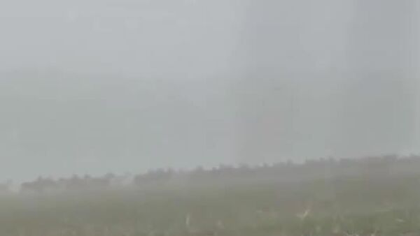 #viral | Route Rerouted: Deer Making Adjustments on Roads of Germany - Sputnik Africa