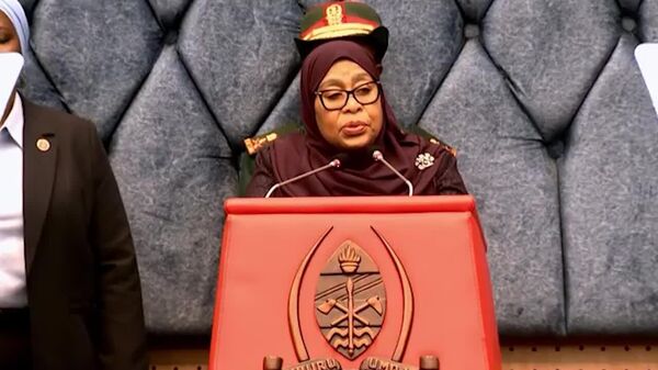 Tanzania Forms New Commission to Investigate Post-Election October 29 Unrest - Sputnik Africa