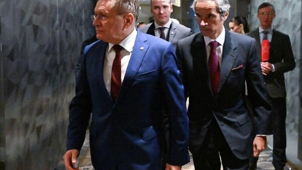 Russia Plays Important Role in Field of Nuclear Energy in International Arena: IAEA Chief - Sputnik Africa