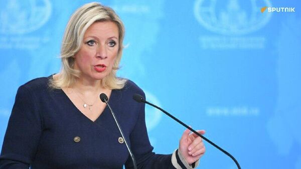 AES: Russia Denounces Vast, Coordinated Destabilization Campaign From Abroad - Sputnik Africa