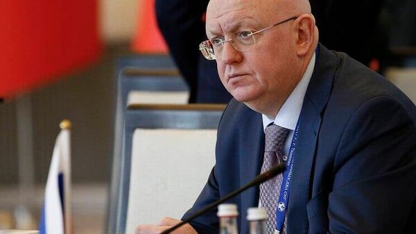 US-led Gaza plan raises serious concerns – Russia’s UN envoy - Sputnik Africa