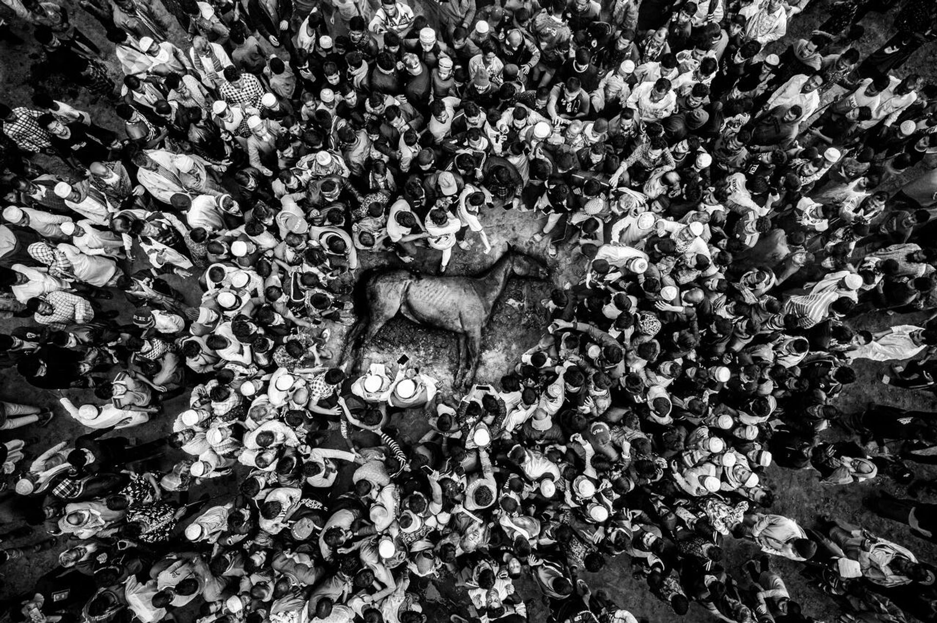 Dernière course: chute du champion - Sputnik Afrique, 1920, 18.11.2025