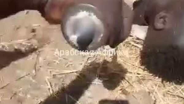 L'armée du Soudan aurait mené des frappes aériennes sur les positions des FSR à Mazroub - Sputnik Afrique