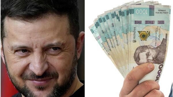 Zelensky / hryvnias  - Sputnik Africa