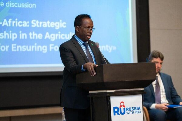 Russian Food Exports to Africa Surge by Over 100% in Five Years: Officials - Sputnik Africa