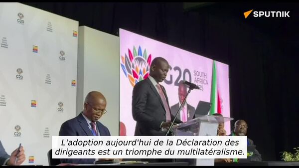 La déclaration des leaders du G20 annonce une victoire pour le Sud global, ancrée dans les priorités de l'Afrique - chef de la diplomatie sud-africaine - Sputnik Afrique