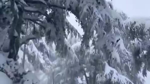 #viral | Algeria’s Mountains Awaken in White: First Snow Ends Long Summer - Sputnik Africa