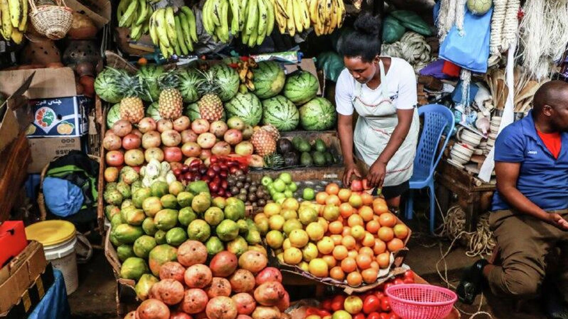 World Bank Raises Kenya's Economic Growth Forecast to Nearly 5% for 2025 World Bank Raises Kenya's Economic Growth Forecast to Nearly 5% for 2025 - Sputnik Africa, 1920, 24.11.2025