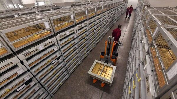 How Russia's gold gambit paid off big time - Sputnik Africa