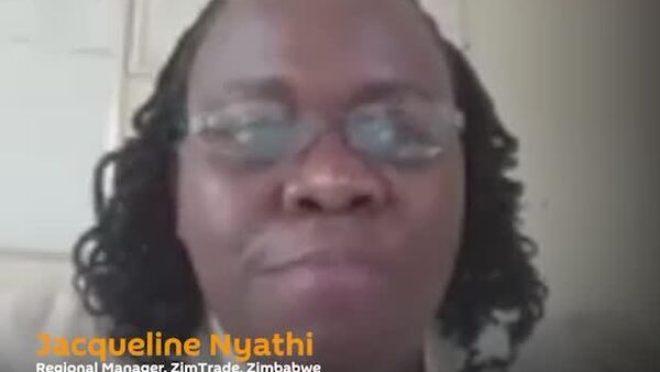 Africa’s Strategy in Powering the Future & Nourishing the World - Sputnik Africa