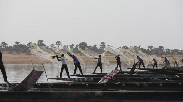 Russian Fishing Companies Interested in Cooperation in Africa: Kremlin Spokesperson - Sputnik Africa