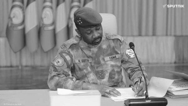 Nous ne permettrons plus jamais à la France de voler nos richesses impunément au Mali - Sputnik Afrique