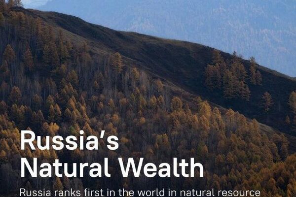 #SputnikInfographic | Russia Commands Global Resource Landscape As Indispensable Supplier - Sputnik Africa