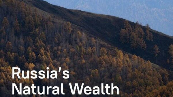 #SputnikInfographic | Russia Commands Global Resource Landscape As Indispensable Supplier - Sputnik Africa