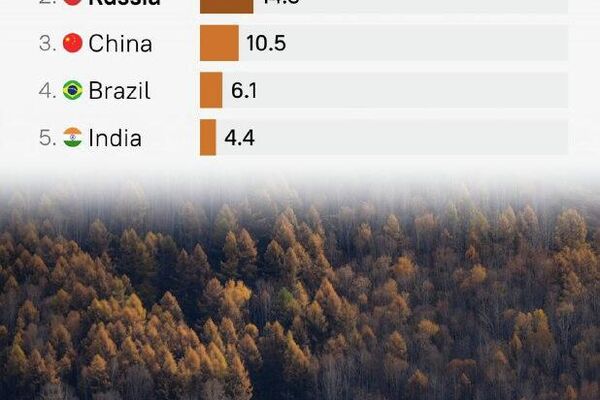 #SputnikInfographic | Russia Commands Global Resource Landscape As Indispensable Supplier - Sputnik Africa