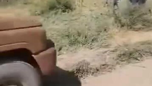 Sudanese Armed Forces Repel Major Rebel Assault on Key Babanusa Base - Sputnik Africa