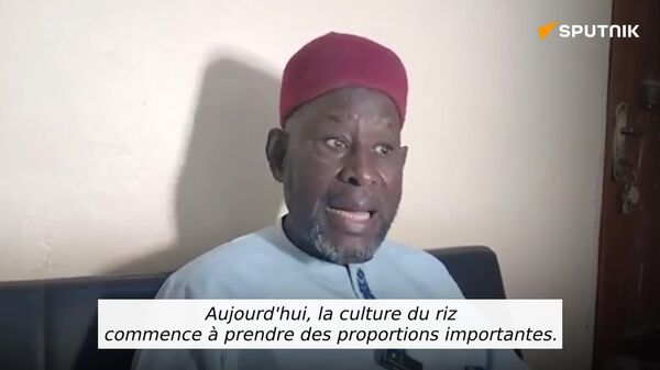 Le Niger a fait de la souveraineté alimentaire son cheval de bataille, selon un responsable - Sputnik Afrique