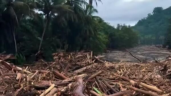 #viral | Indonesian Island Sumatra Bears Brunt of Regional Flood Crisis as Torrential Rains Lash Region - Sputnik Africa