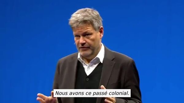 Vous avez soutenu l'Apartheid et vous leur demandez maintenant de l'aide? - un ex-ministre allemand - Sputnik Afrique