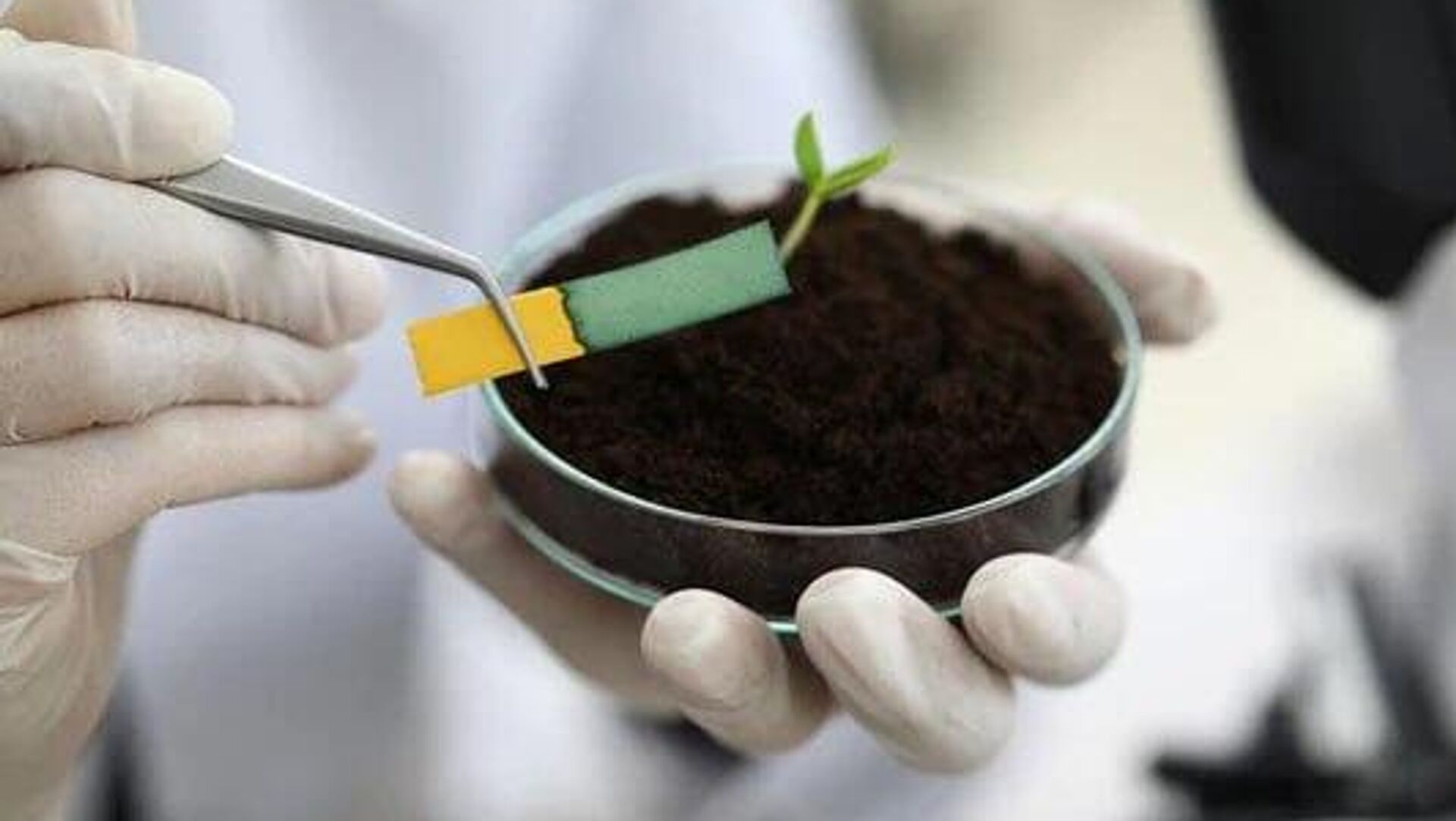 Small but Mighty: Botswana Launches Nano Fertilizer Initiative in Strategic Push for Food Sovereignty, Says Agency Small but Mighty: Botswana Launches Nano Fertilizer Initiative in Strategic Push for Food Sovereignty, Says Agency - Sputnik Africa, 1920, 30.11.2025