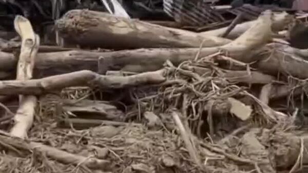 #viral | Death Toll from Floods and Landslides in Indonesia Exceeds 440 People - Sputnik Africa