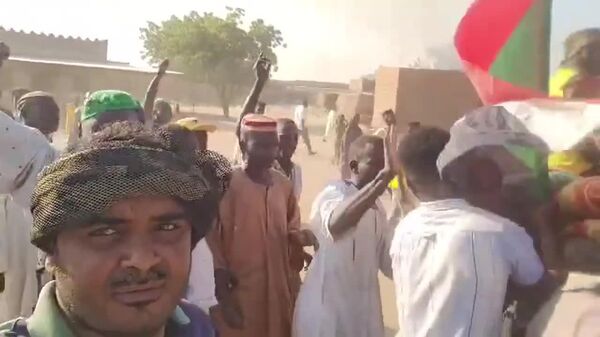 Sudanese Army Recaptures Several Villages in South Kordofan: Media - Sputnik Africa