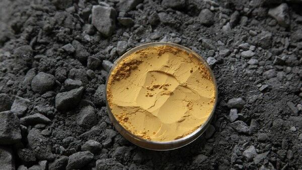 Niger's Uranium Reclamation is Sovereign Right and Just Beginning: Pan-Africanist - Sputnik Africa