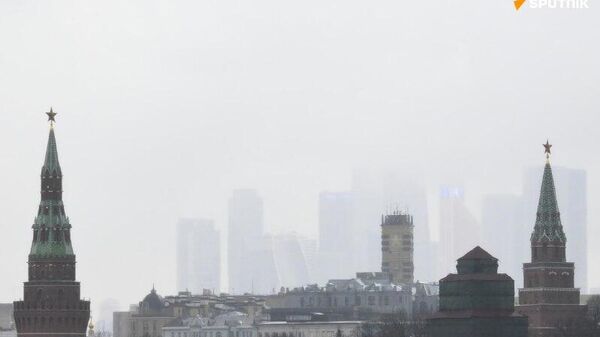 Statements That Putin Rejected US Peace Plan for Ukraine Are Incorrect; This is Not the Case: Kremlin - Sputnik Africa