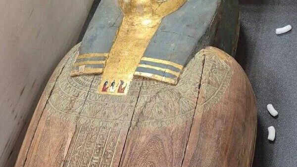 Un sarcophage doré de la Basse époque de retour en Égypte de Belgique - Sputnik Afrique