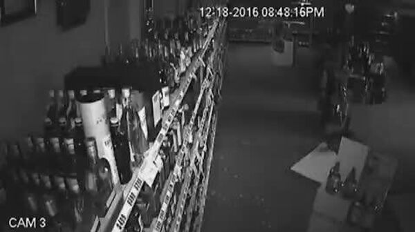 #viral | Raccoon Got Drunk as Skunk - Sputnik Africa