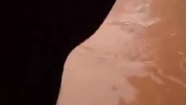 Un éléphant sri-lankais lutte contre le courant et gagne - Sputnik Afrique