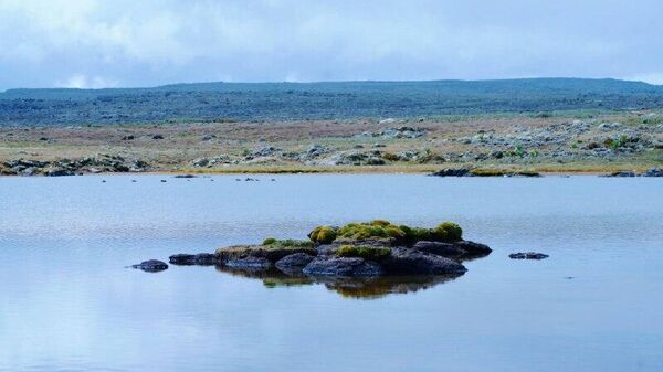 Tourism Booms in Ethiopia's Bale Mountains, Lifting Local Incomes, Officials Say - Sputnik Africa