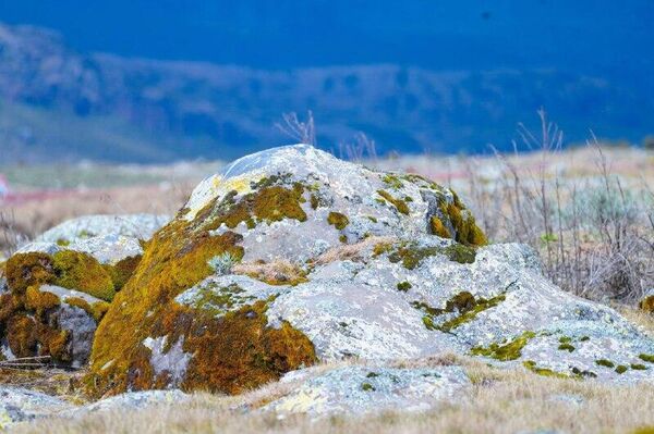 Tourism Booms in Ethiopia's Bale Mountains, Lifting Local Incomes, Officials Say - Sputnik Africa