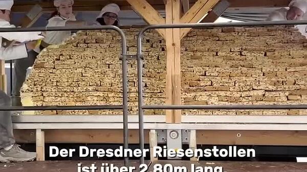 À Dresde, un gâteau de Noël de deux tonnes défile en star - Sputnik Afrique