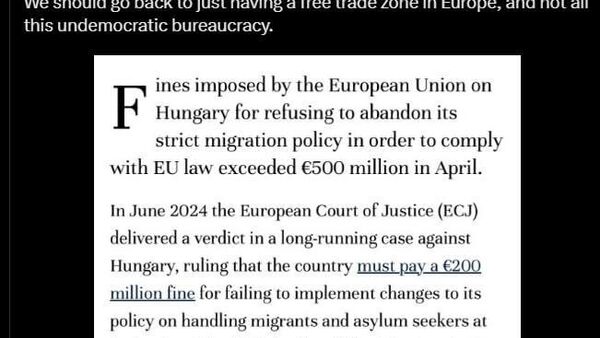 Elon Musk appelle à dissoudre l’Union européenne - Sputnik Afrique