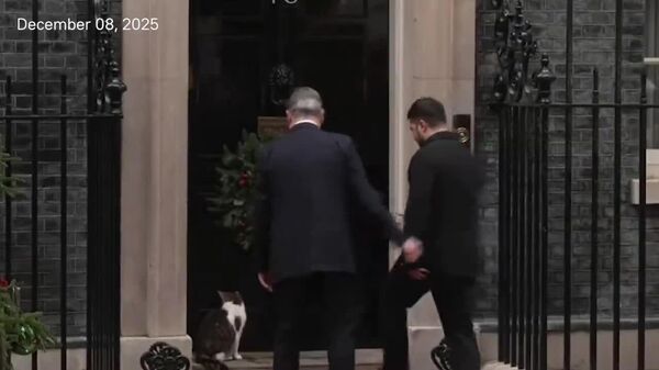 #viral | History Repeats: Larry the Cat Refuses to Enter Through Same Door as Zelensky​ - Sputnik Africa