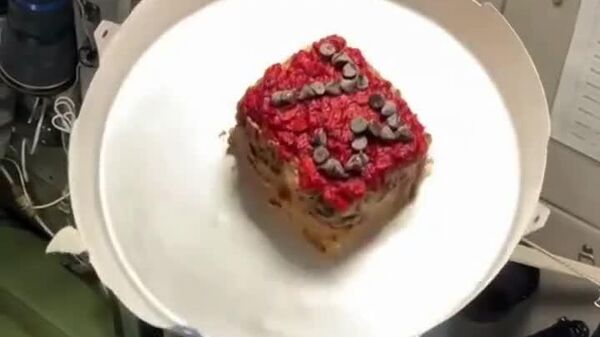 Un gâteau qui ne tombe pas – l'équipage de la SSI se régale de cette friandise spatiale - Sputnik Afrique