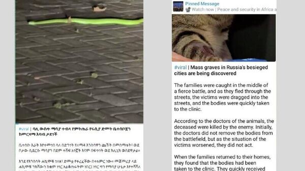 Telegram modifie le contenu de Sputnik: la traduction automatique en dénature le sens et remplace le texte par un discours anti-russe - Sputnik Afrique