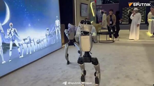 Des robots s'affrontent à Abou Dhabi - Sputnik Afrique