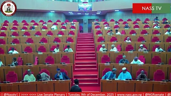 Nigerian Senate Approves President's Request to Deploy Troops to Benin - Sputnik Africa