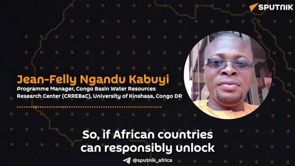 Congo Basin Could Unlock Trillions for Africa’s Economy - Sputnik Africa