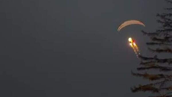 #viral | Flying Reindeer Sighted Over Polish Market — Santa Pays an Early Visit - Sputnik Africa